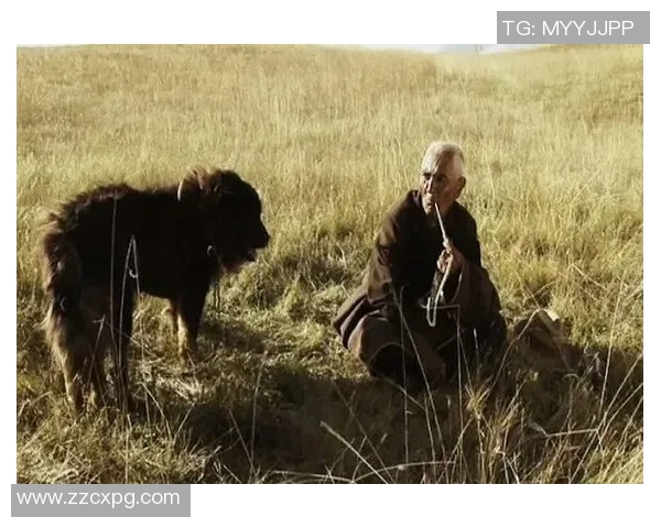 吉布森的传奇人生与创作历程探秘:从文学到影视的跨界影响力分析