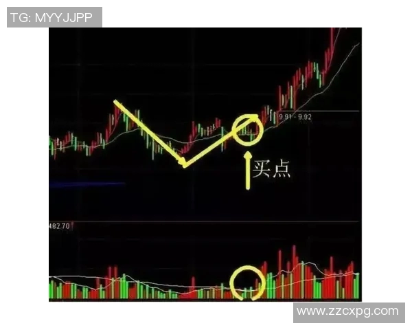 广州飞盘队阵地战战术解析与实战应用全方位解读MBA